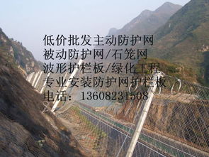 湖南湘潭柔性拦石网定制服务 安全防护的智慧选择